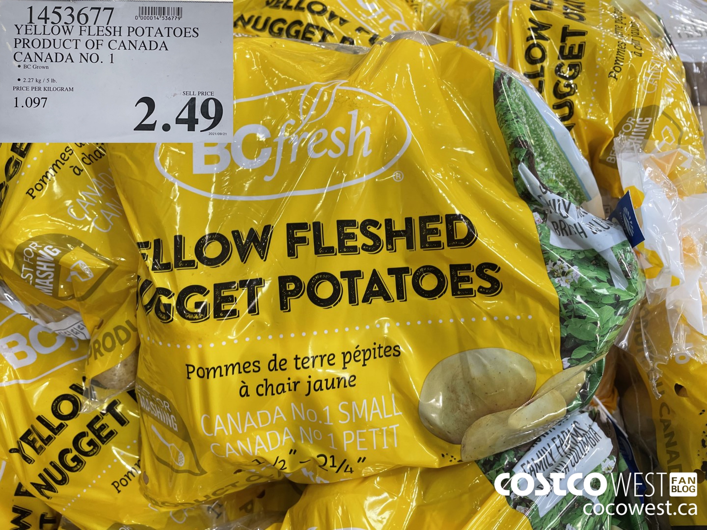 1453677 YELLOW FLESH POTATOES PRODUCT OF CANADA CANADA NO. 1 $2.49