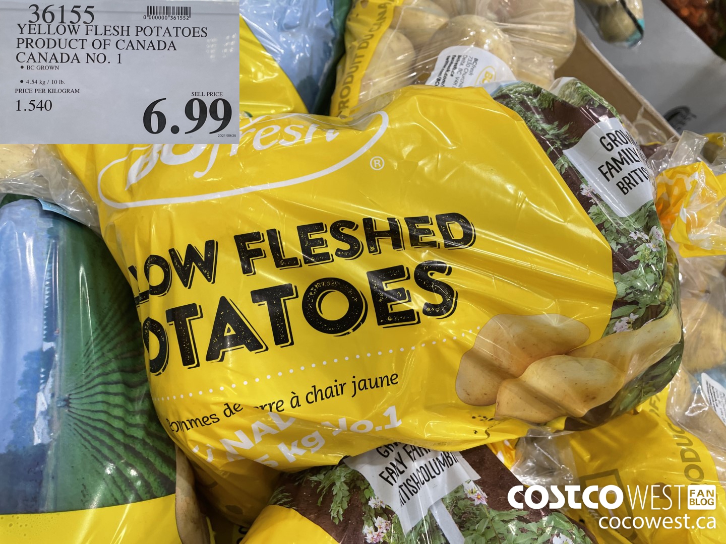 36155 YELLOW FLESH POTATOES PRODUCT OF CANADA CANADA NO. 1 $6.99
