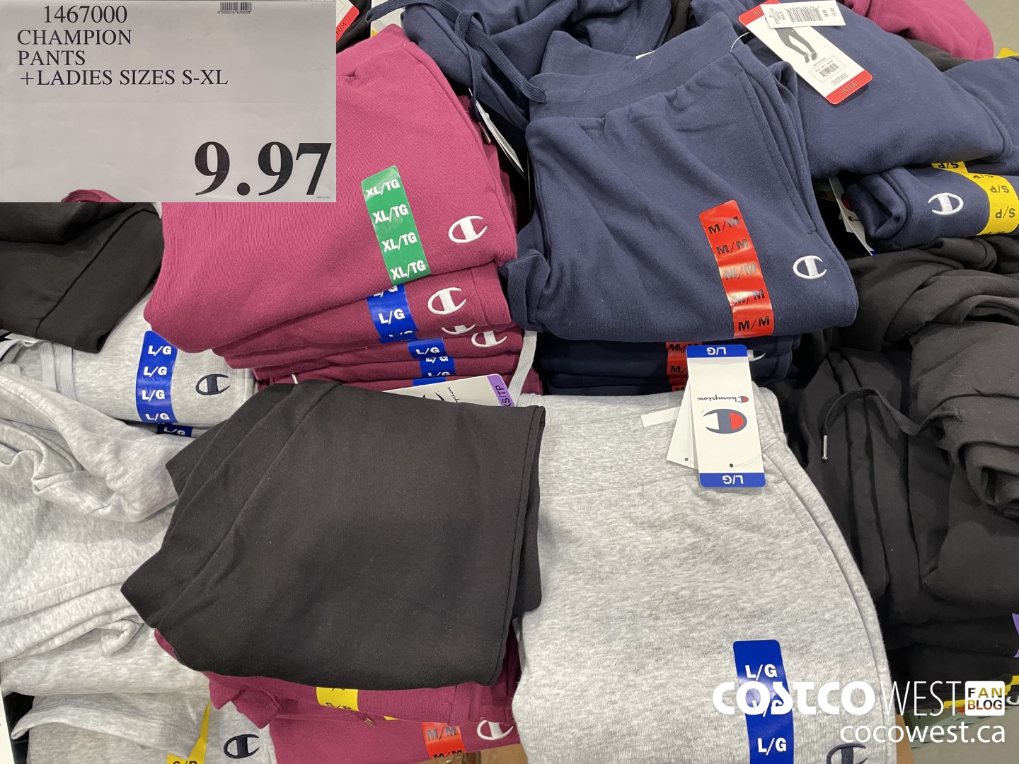 Costco hot sale champion pants