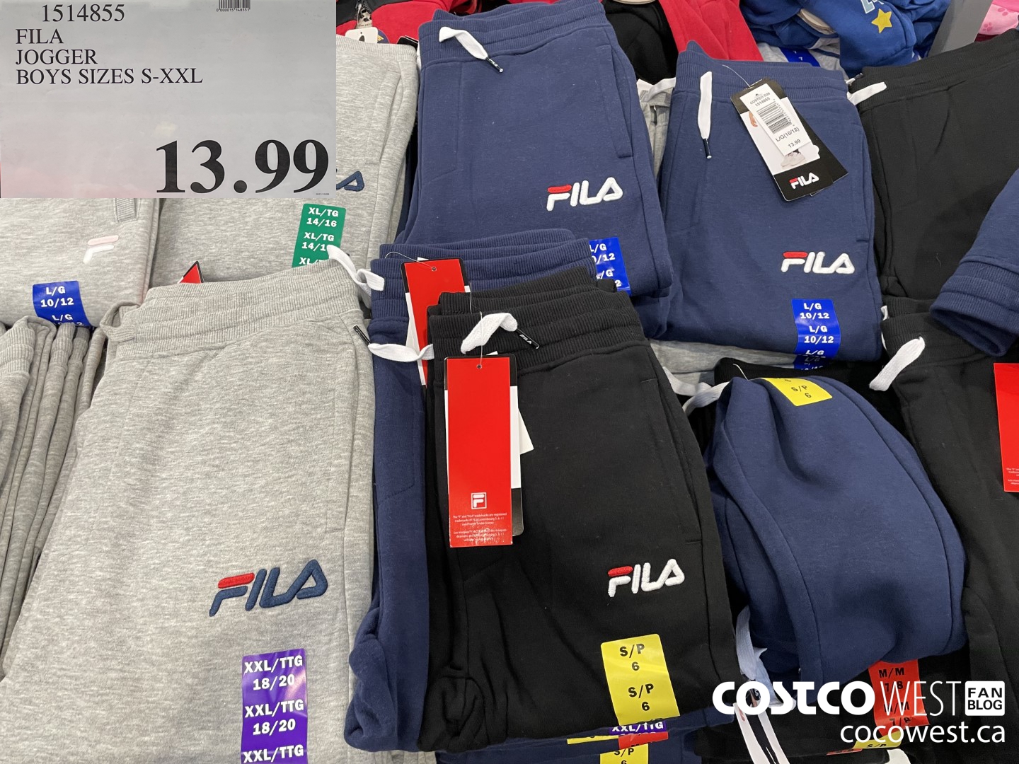 Fila best sale joggers costco