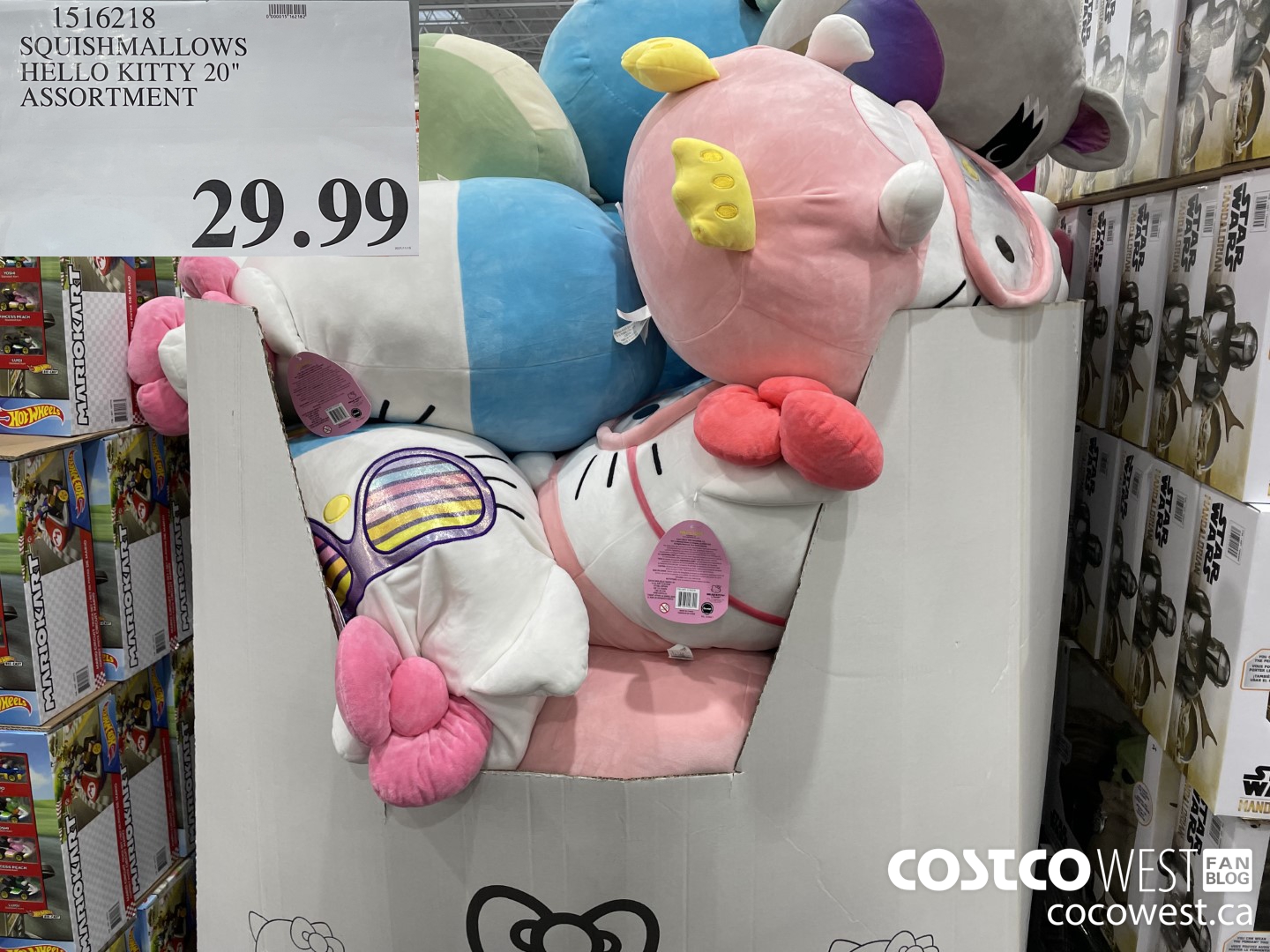 Costco have Harry Potter Squishmallow : r/Costco