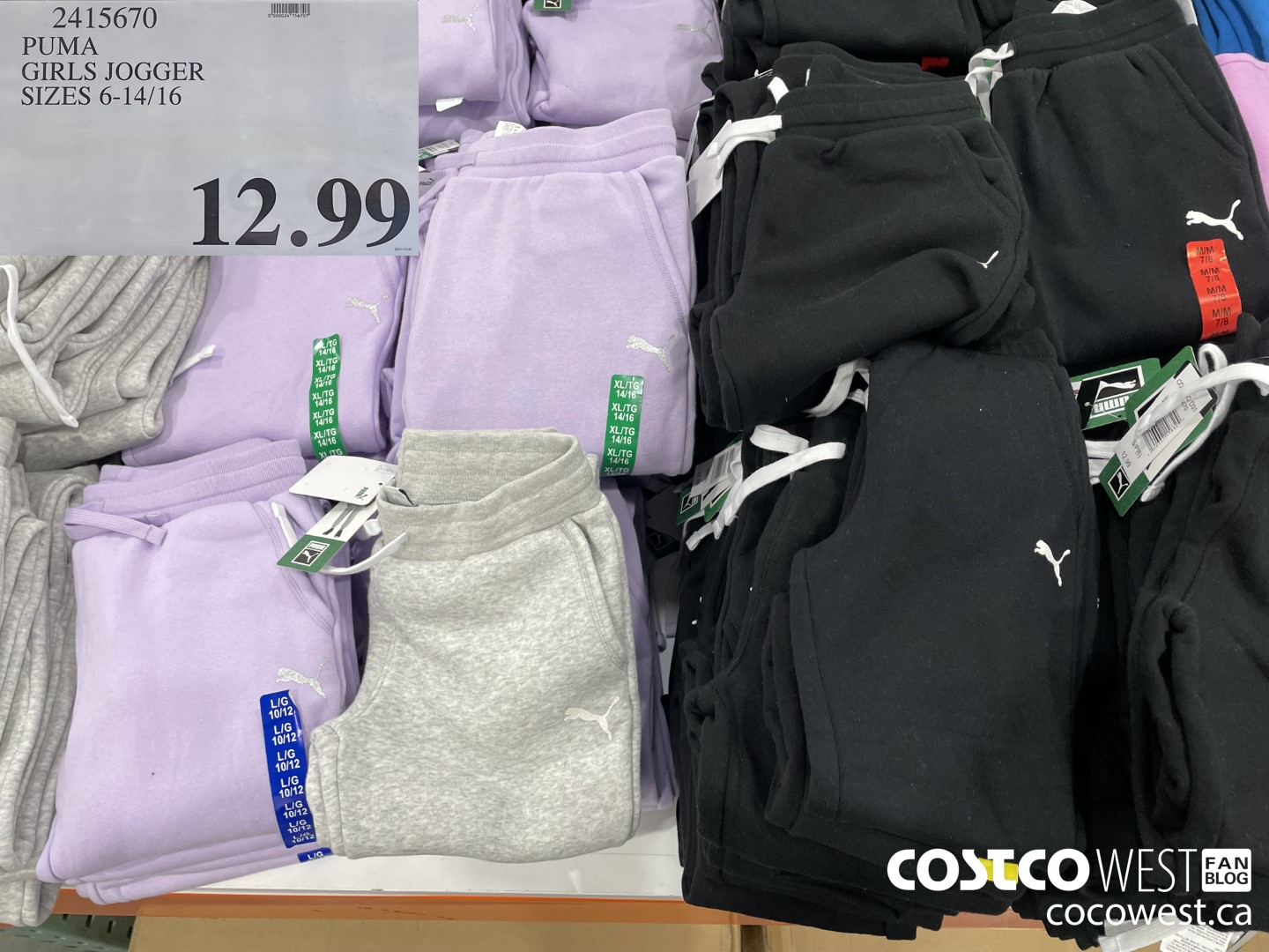 Men's puma hot sale sweatpants costco