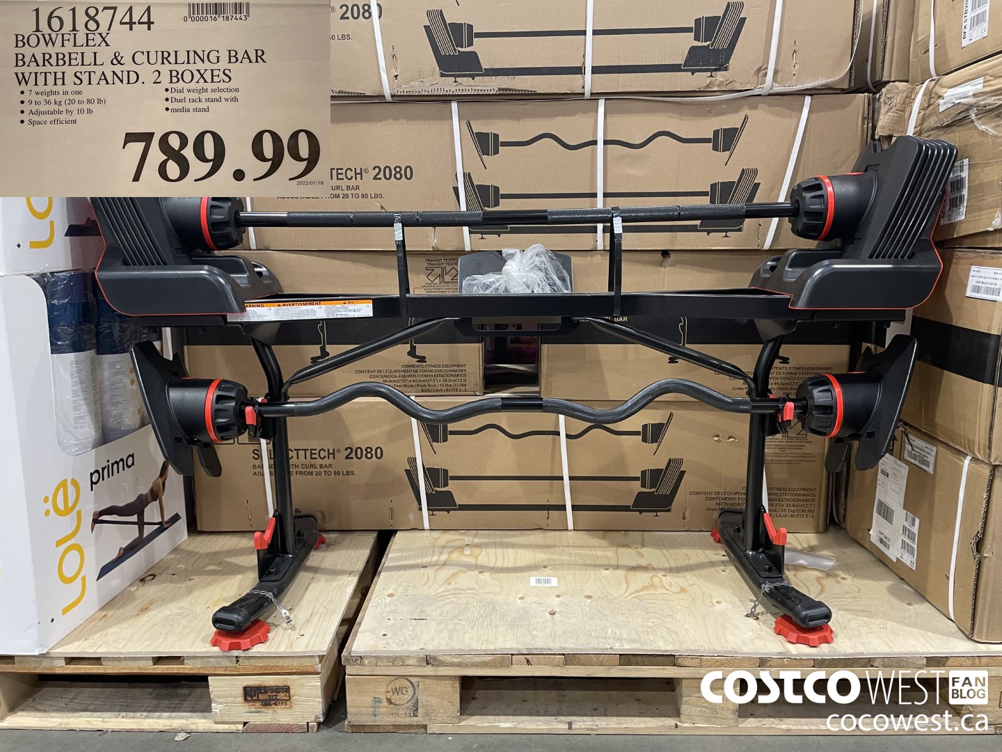 Costco 2022 Winter Seasonal Aisle Furniture Garden Exercise