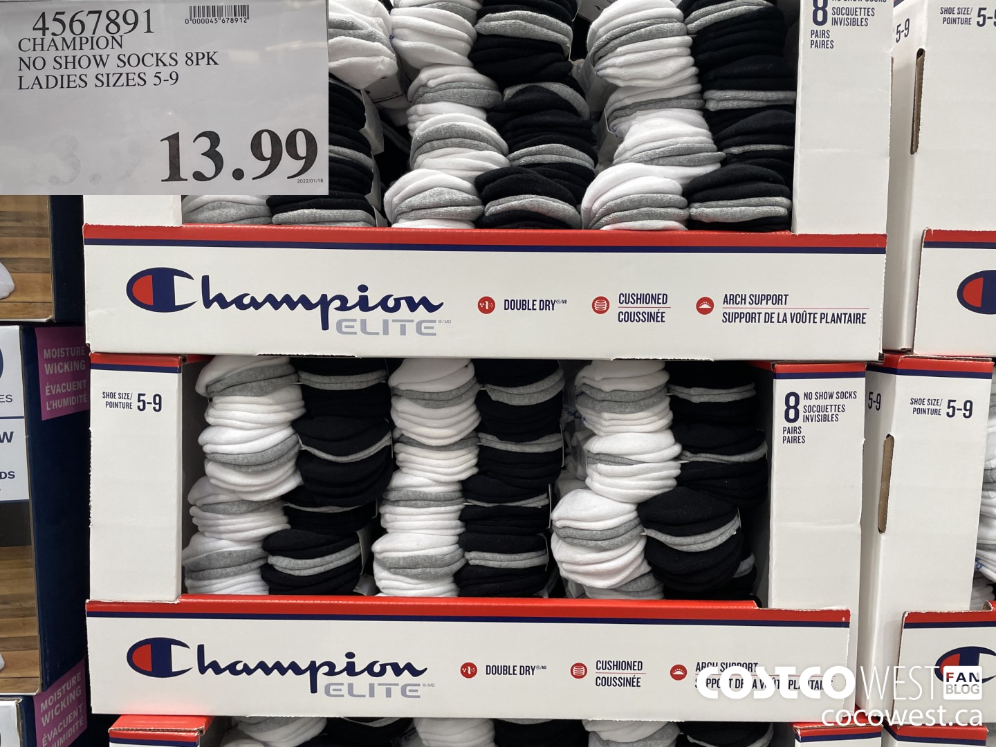 4567891 CHAMPION NO SHOW SOCKS 8PK LADIES SIZES 5-9  $13.99