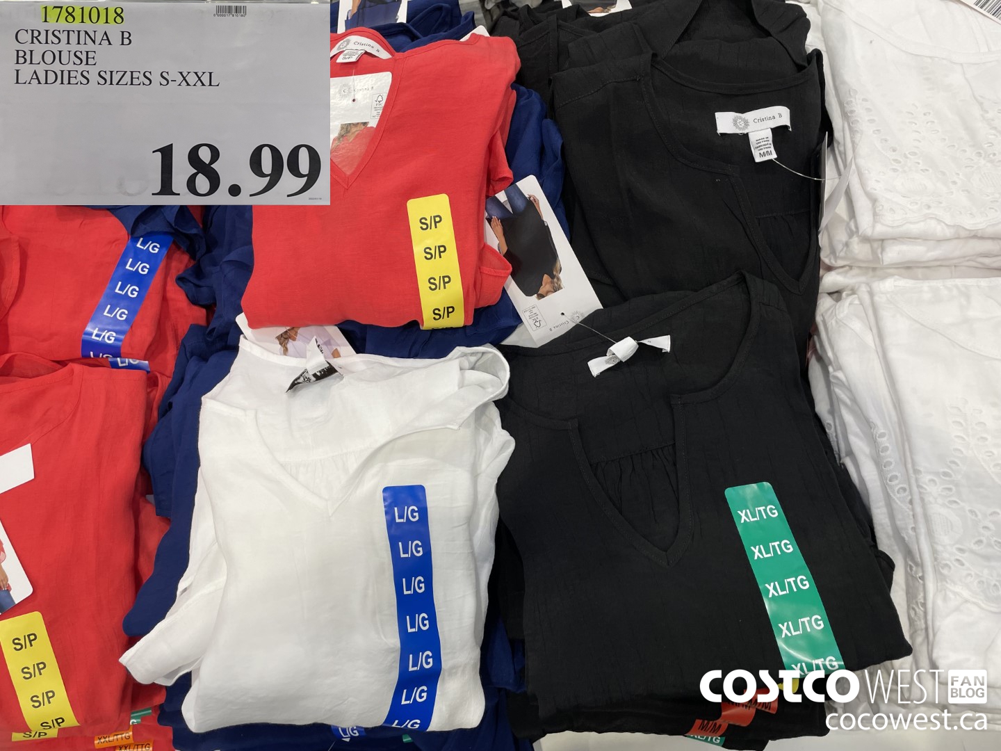 1781018 CRISTINA B BLOUSE LADIES SIZES S-XXL  $18.99