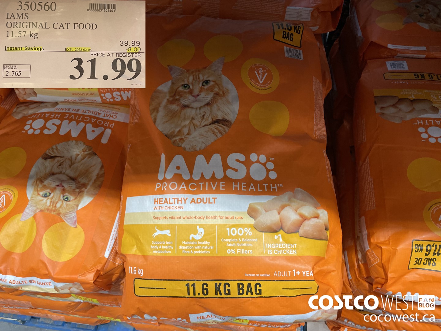 Costco iams shop cat food