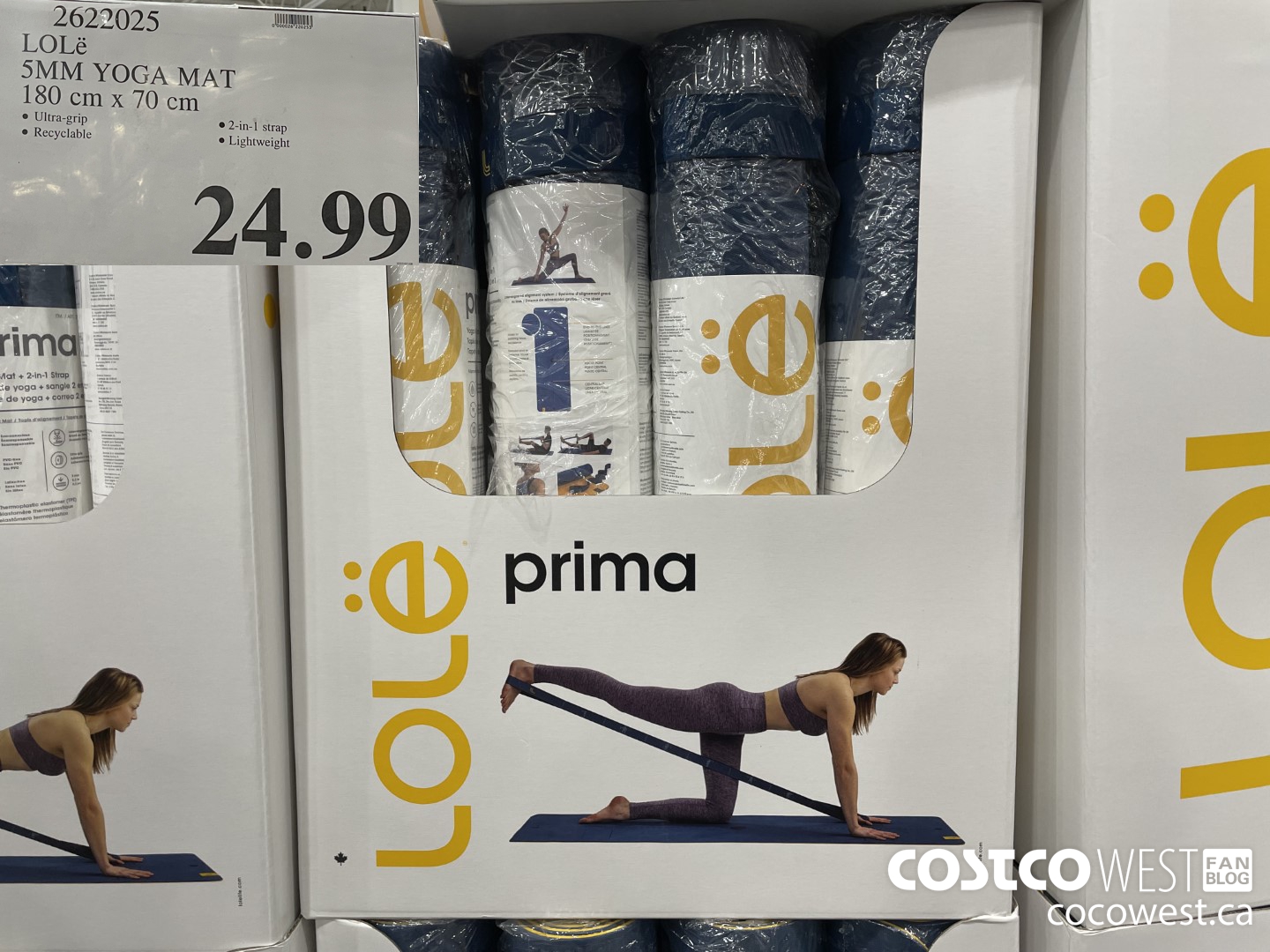 Costco] Costco.ca: Lole yoga mat with 2in 1 strap $24.99