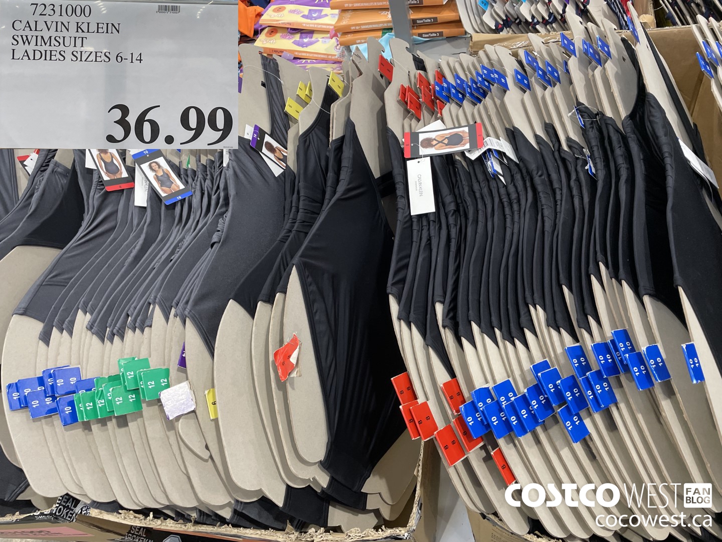 7231000 CALVIN KLEIN SWIMSUIT LADIES SIZES 6-14  $36.99