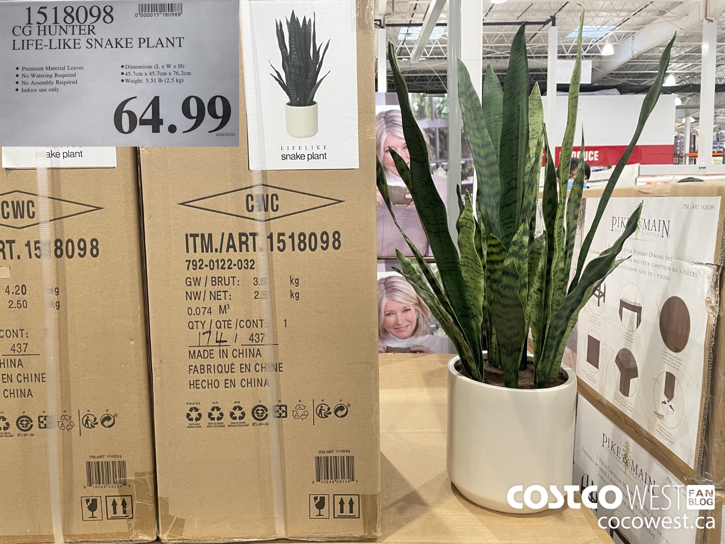 1518098 CG HUNTER LIFE-LIKE SNAKE PLANT $64.99