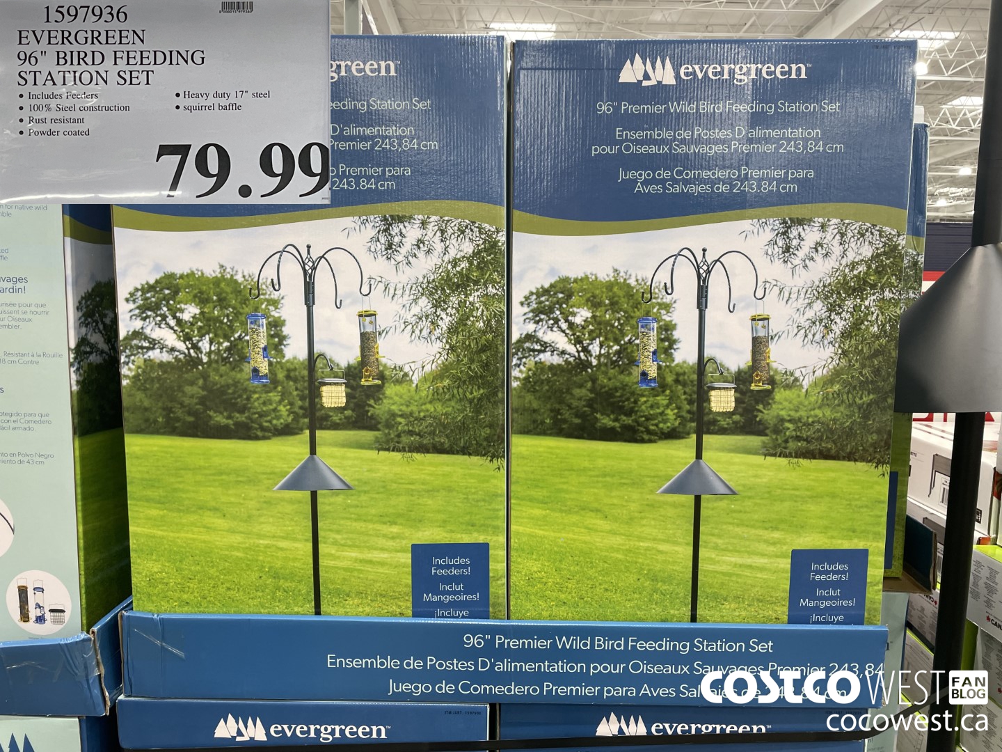 1597936 EVERGREEN 96