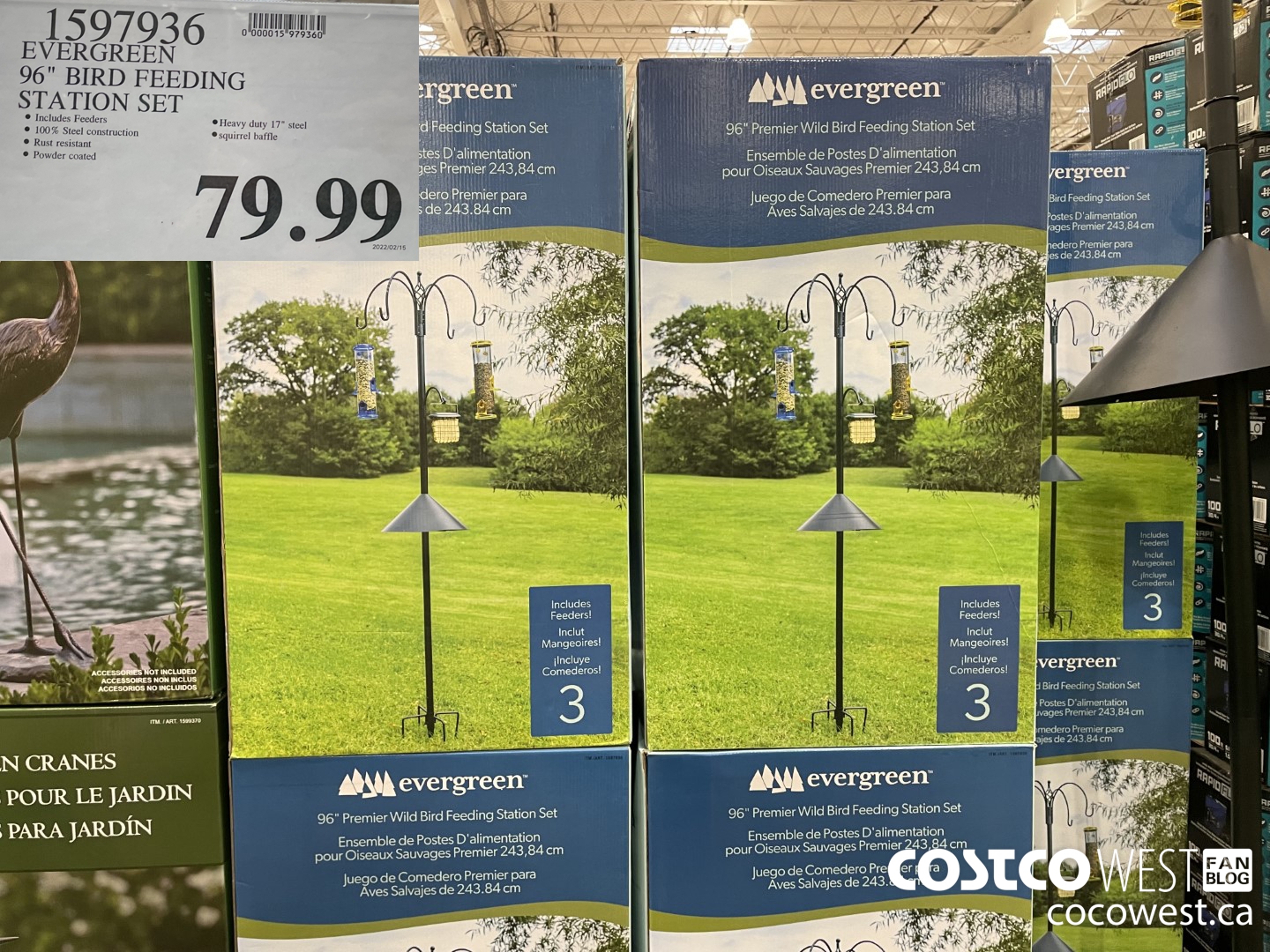 1597936 EVERGREEN 96