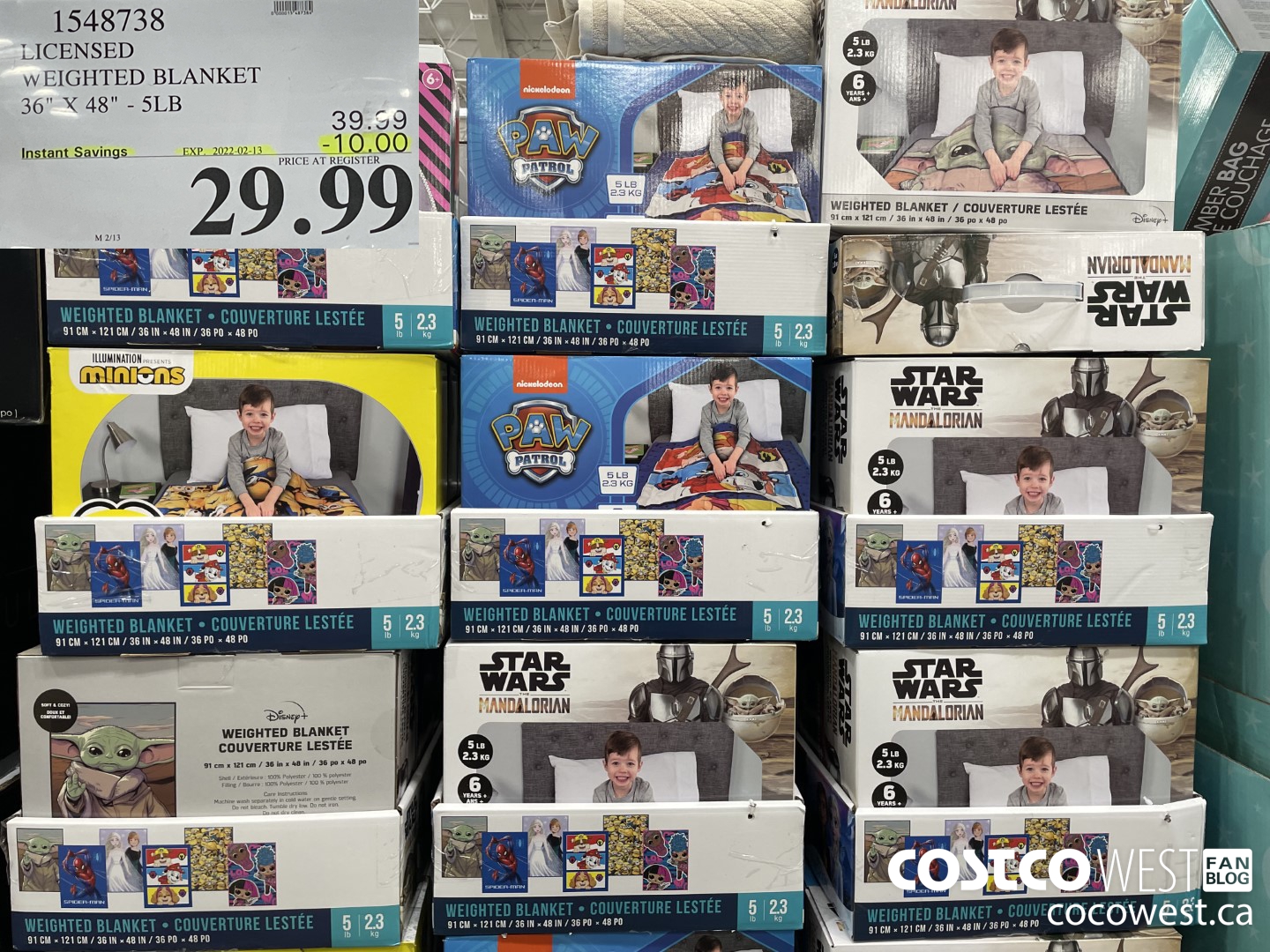 1548738 LICENSED WEIGHTED BLANKET 36