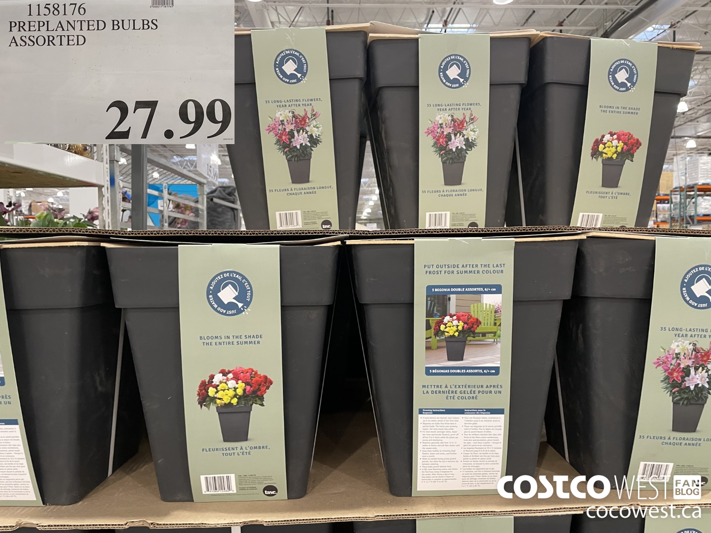 1158176 PREPLANTED BULBS ASSORTED  $27.99