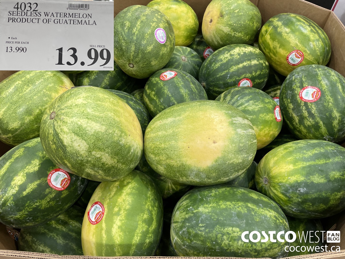 4032 SEEDLESS WATERMELON PRODUCT OF GUATEMALA $13.99