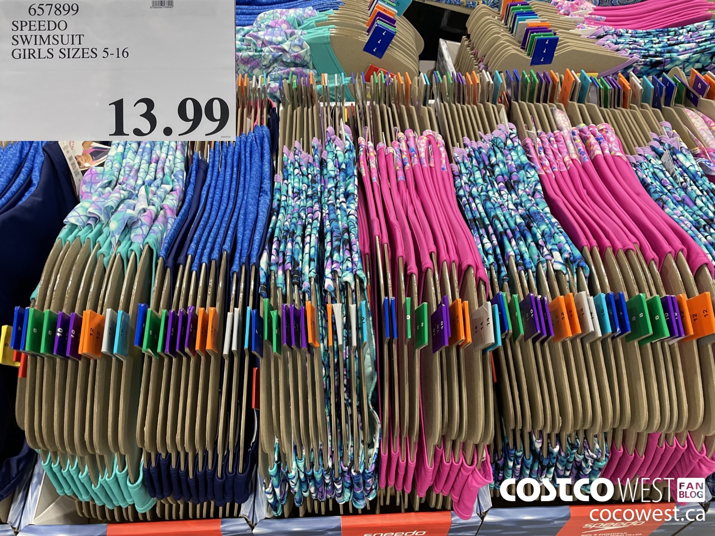 657899 SPEEDO SWIMSUIT GIRLS SIZES 5-16 $13.99