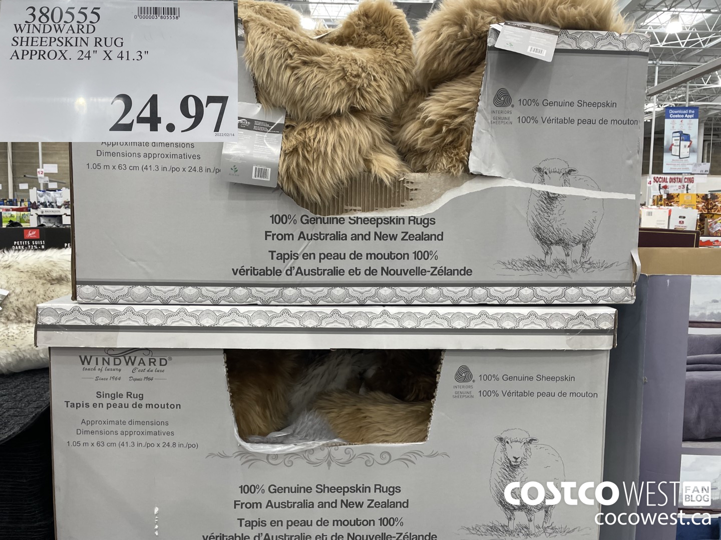 380555 WINDWARD SHEEPSKIN RUG APPROX. 24