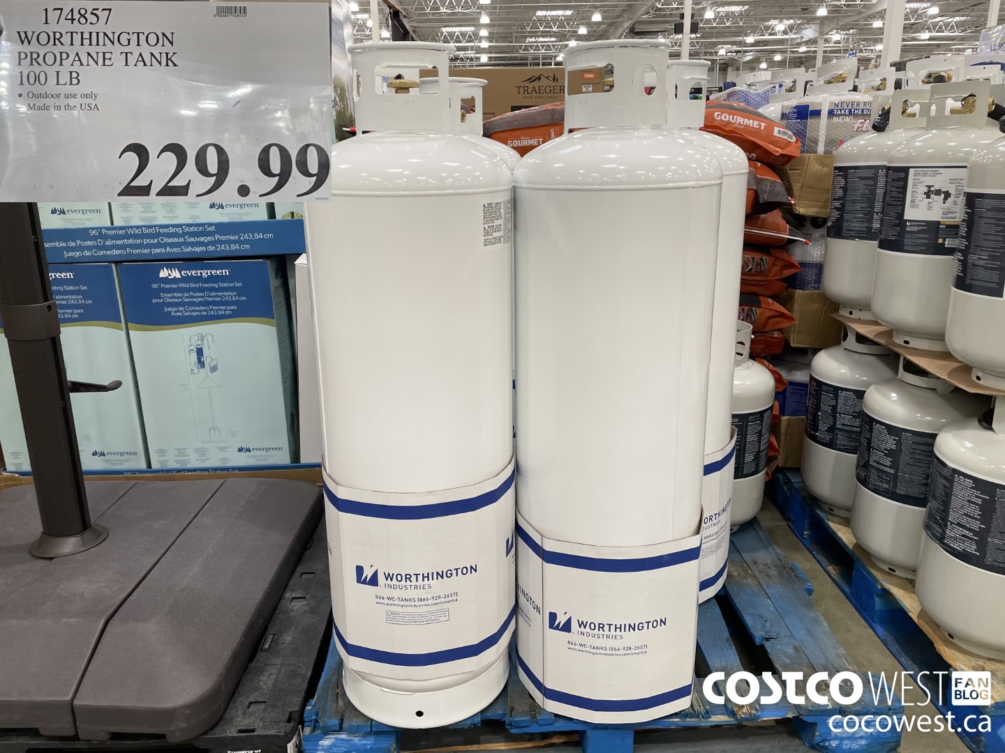 174857 WORTHINGTON PROPANE TANK 100LB $229.99