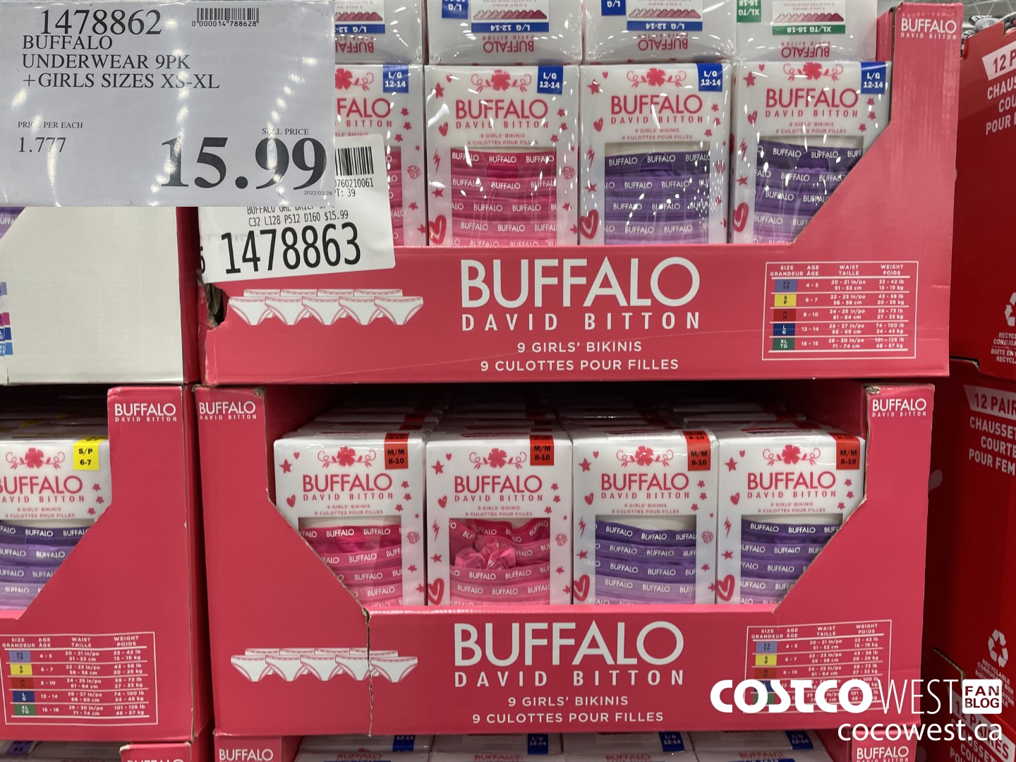 1478862 BUFFALO UNDERWEAR 9PK GIRLS SIZES XS-XL  $15.99