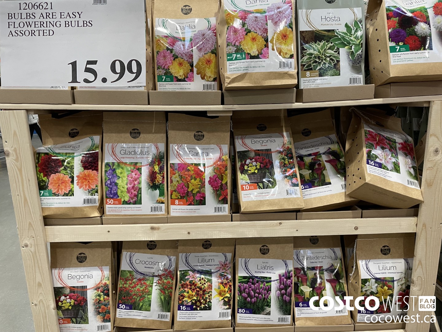 1206621 BULBS ARE EASY FLOWERING BULBS ASSORTED $15.99