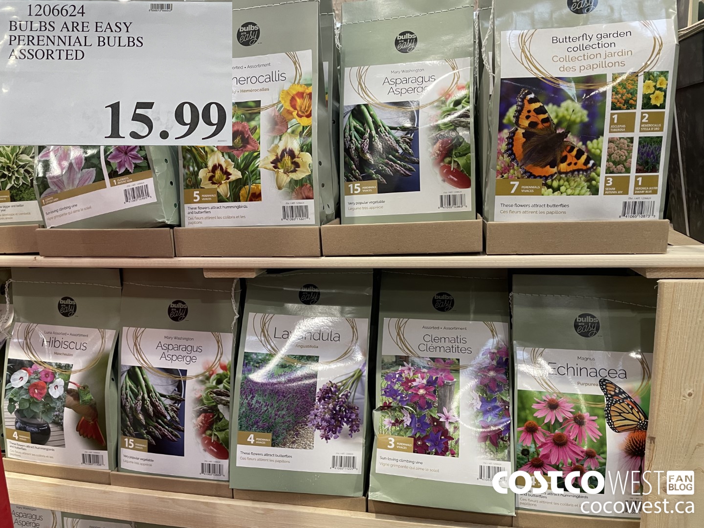 1206624 BULBS ARE EASY PERENNIAL BULBS ASSORTED $15.99