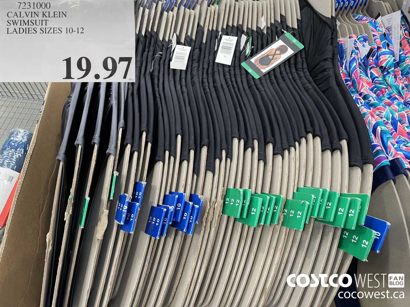 7231000 CALVIN KLEIN SWIMSUIT LADIES SIZES 6-14  $19.97