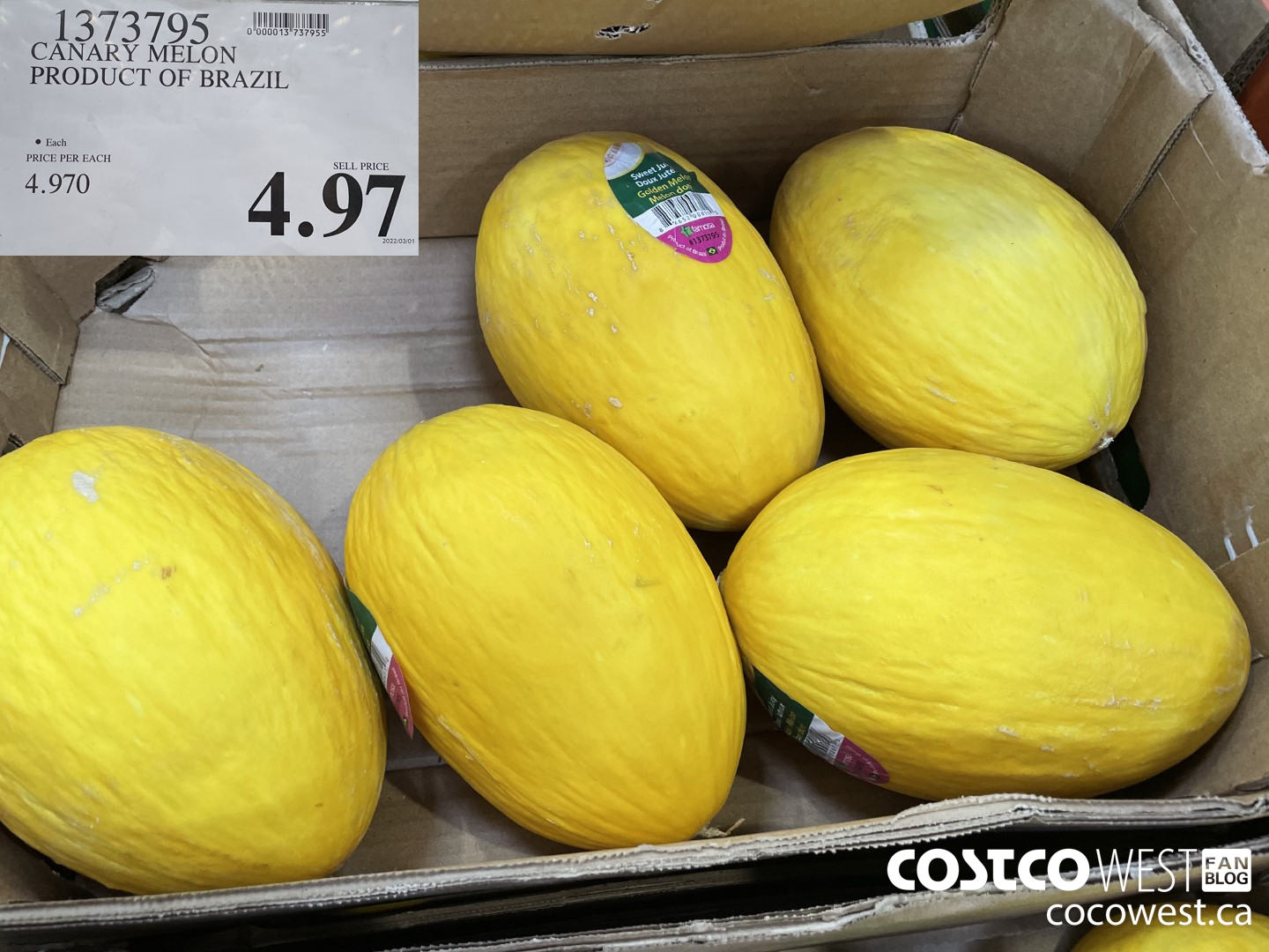 1373795 CANARY MELON PRODUCT OF BRAZIL $4.97