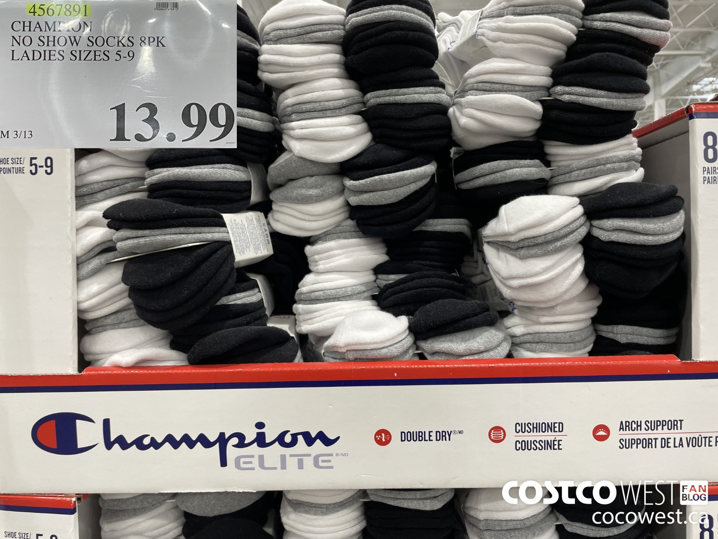 4567891 CHAMPION NO SHOW SOCKS 8PK LADIES SIZES 5-9 $13.99