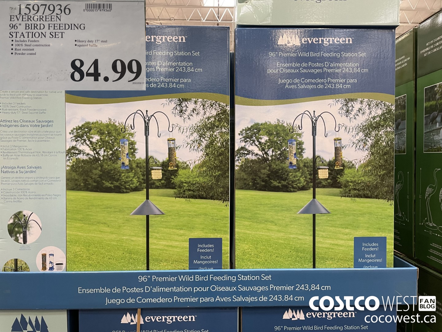 1597936 EVERGREEN 96