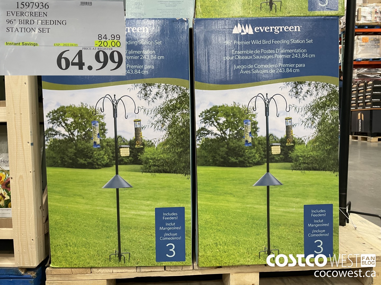 1597936 EVERGREEN 96