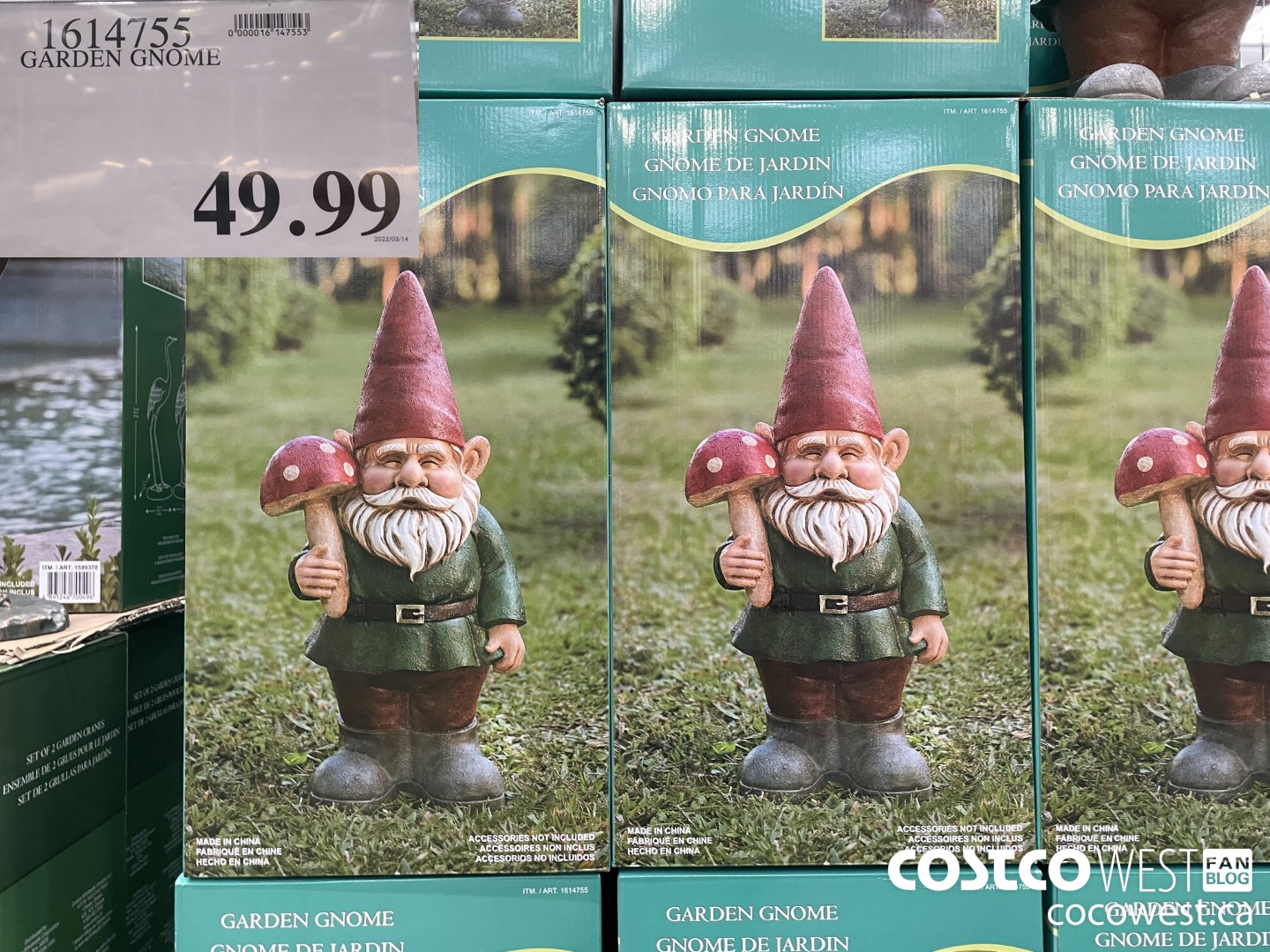 1614755 GARDEN GNOME  $49.99