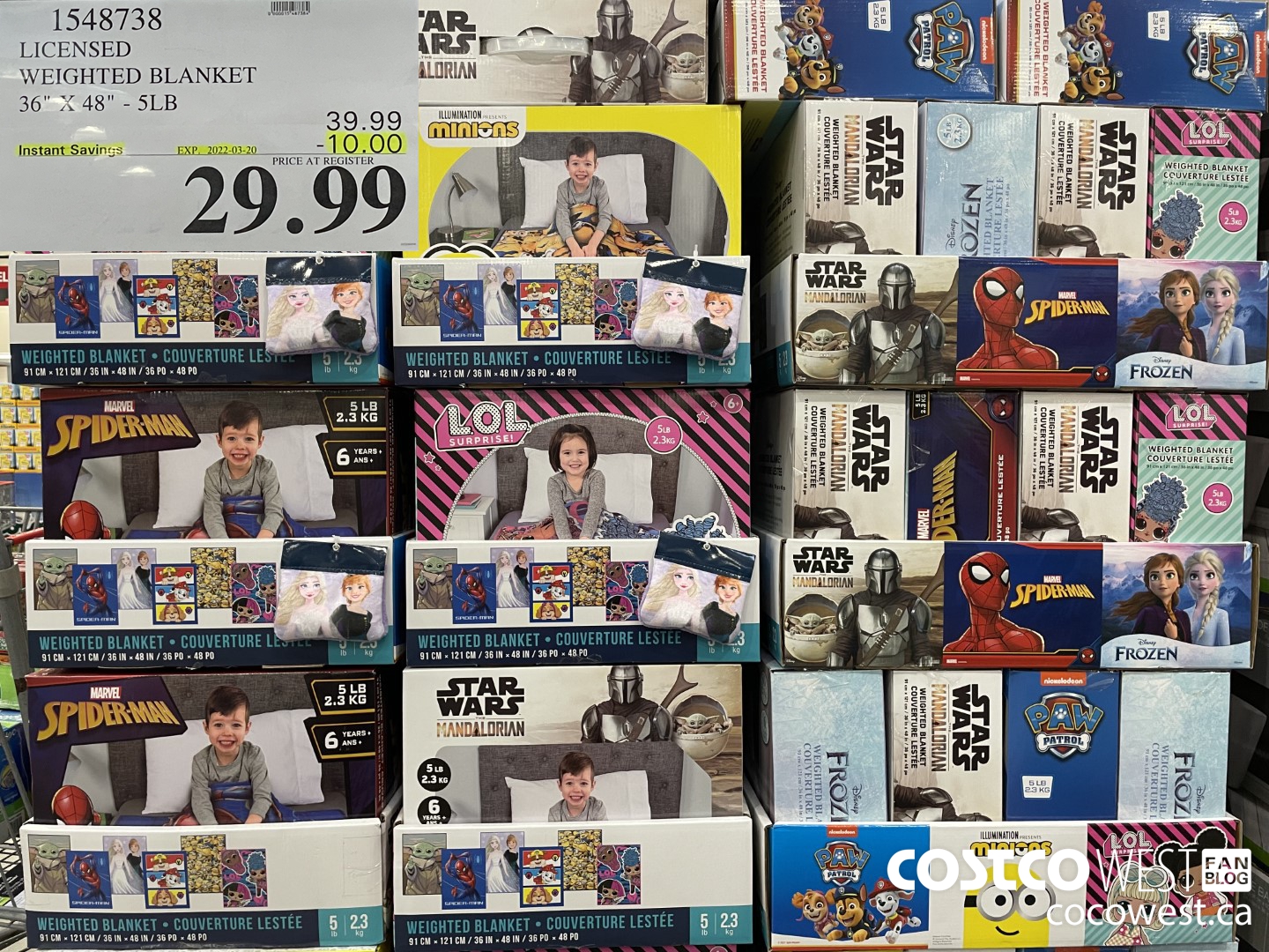 1548738 LICENSED WEIGHTED BLANKET 36