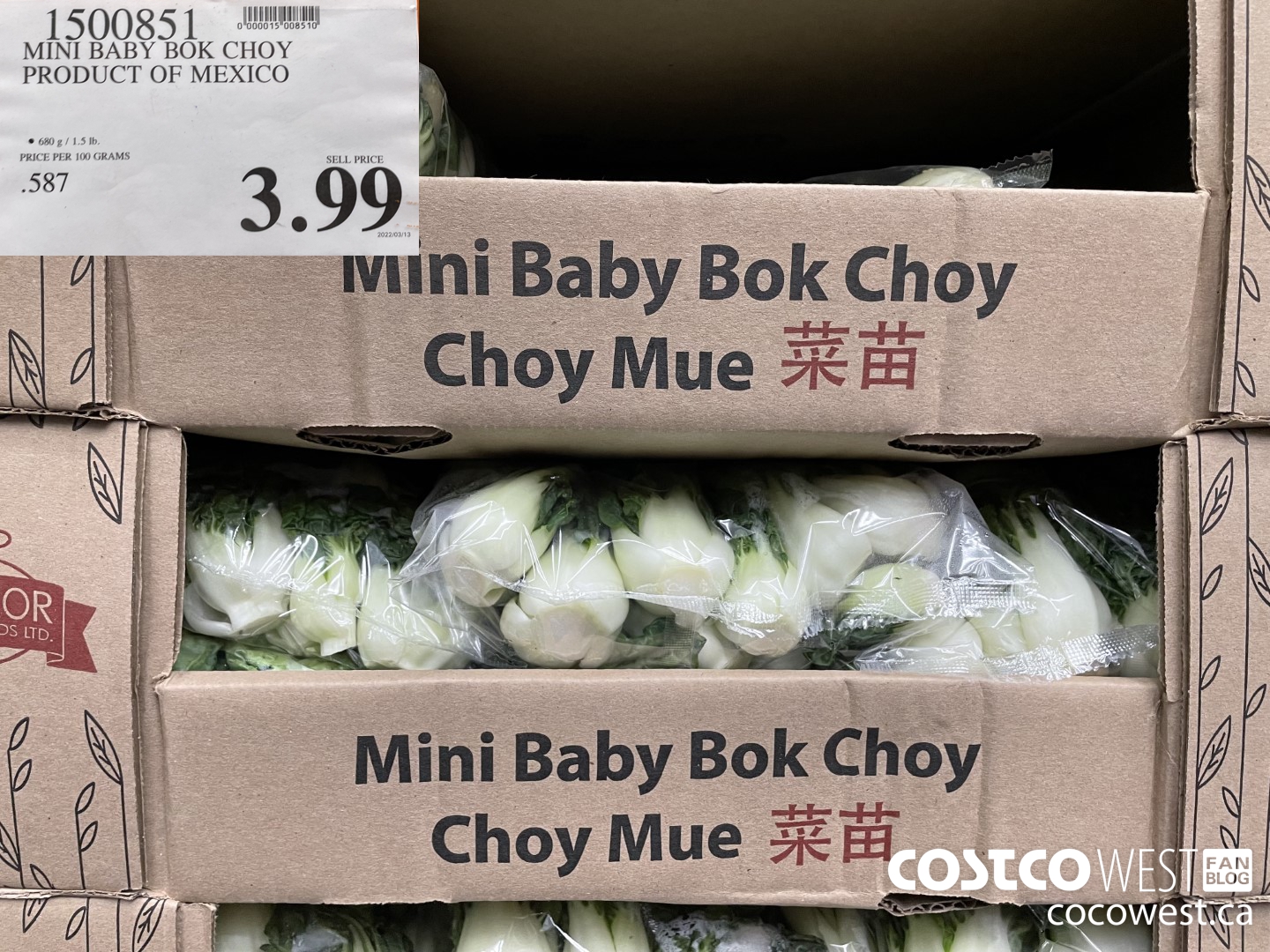 1500851 MINI BABY BOK CHOY PRODUCT OF MEXICO $3.99
