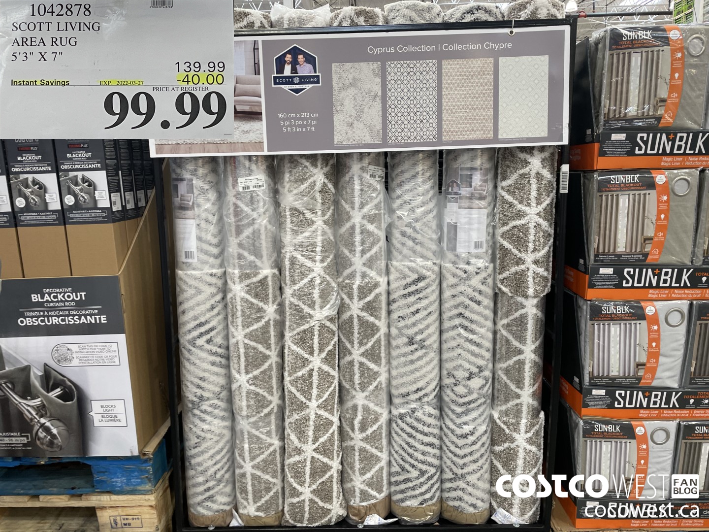 1042878 SCOTT LIVING AREA RUG 5'3