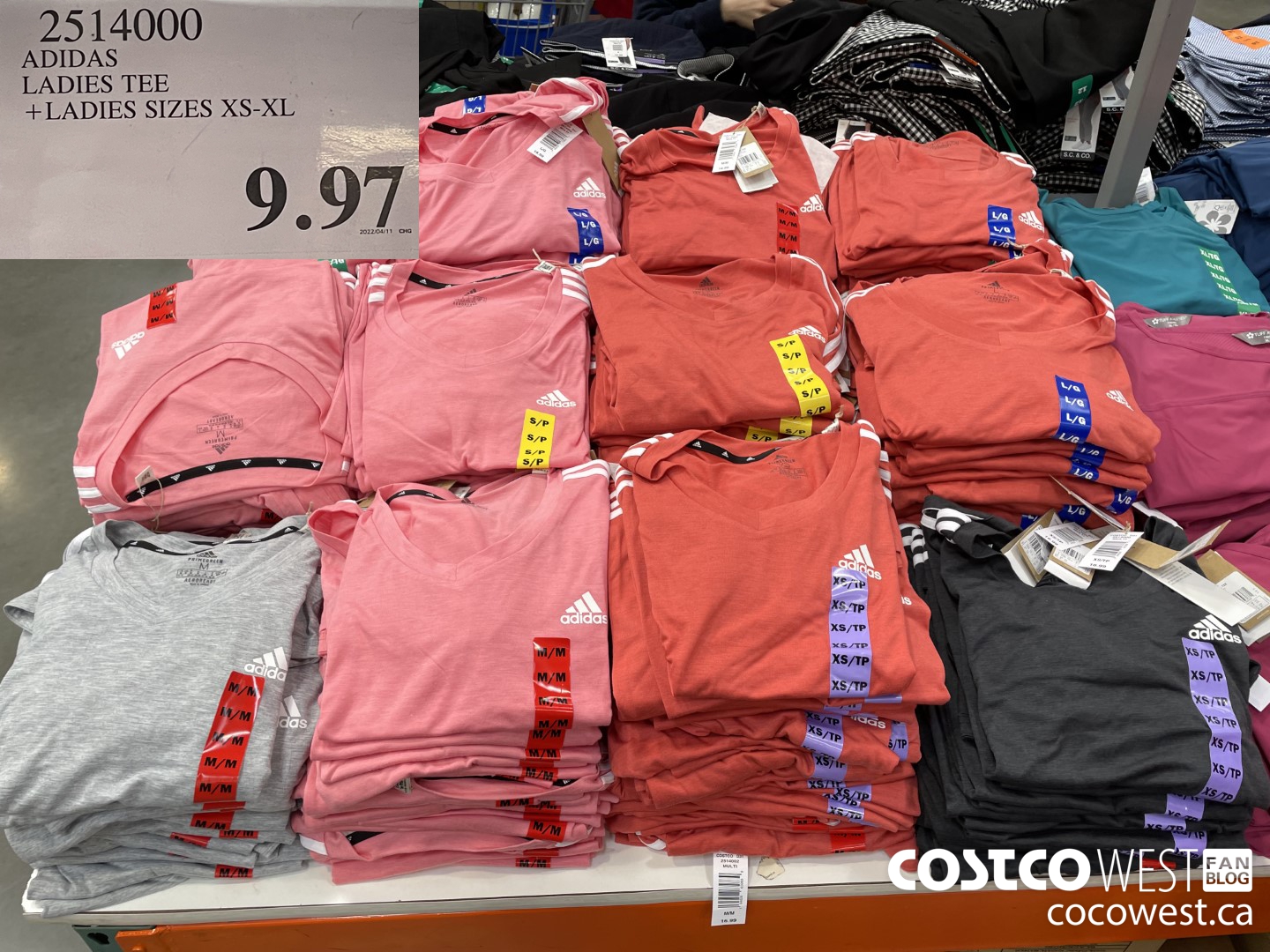 2514000 ADIDAS LADIES TEE LADIES SIZES XS-XL $9.97