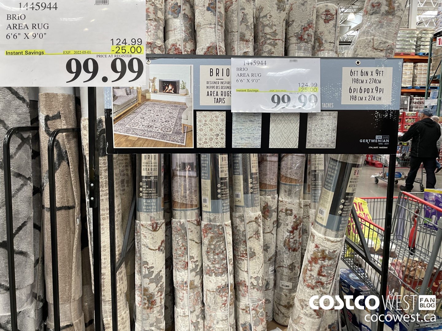 1445944 BRIO AREA RUG 6'6