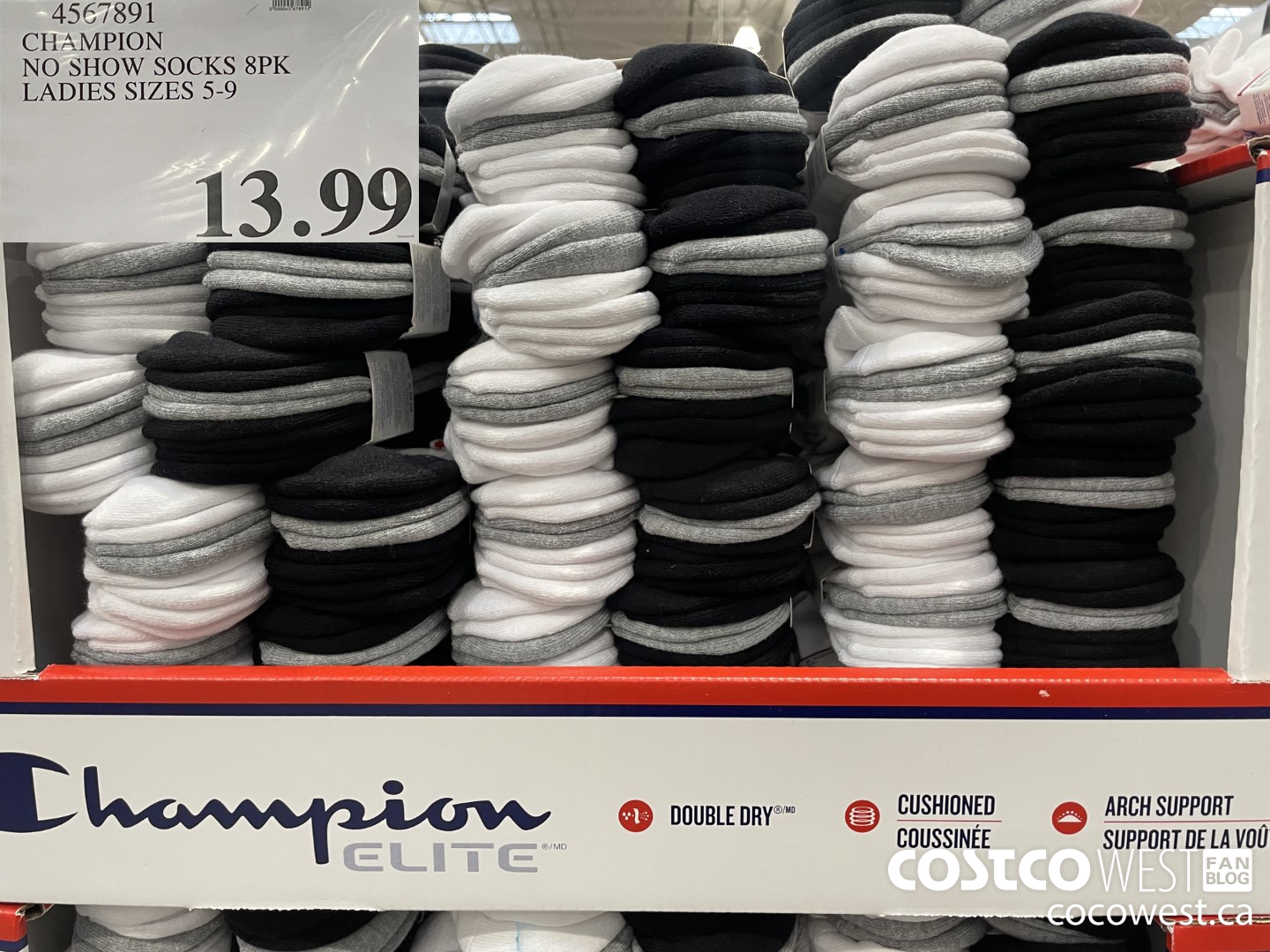 4567891 CHAMPION NO SHOW SOCKS 8PK LADIES SIZES 5-9 $13.99