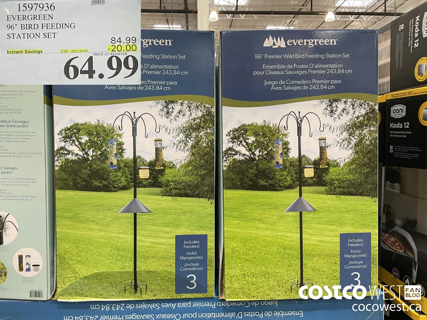 1597936 EVERGREEN 96