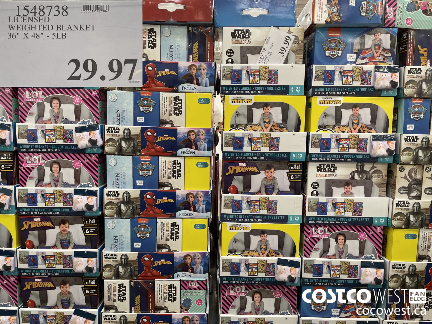 1548738 LICENSED WEIGHTED BLANKET 36