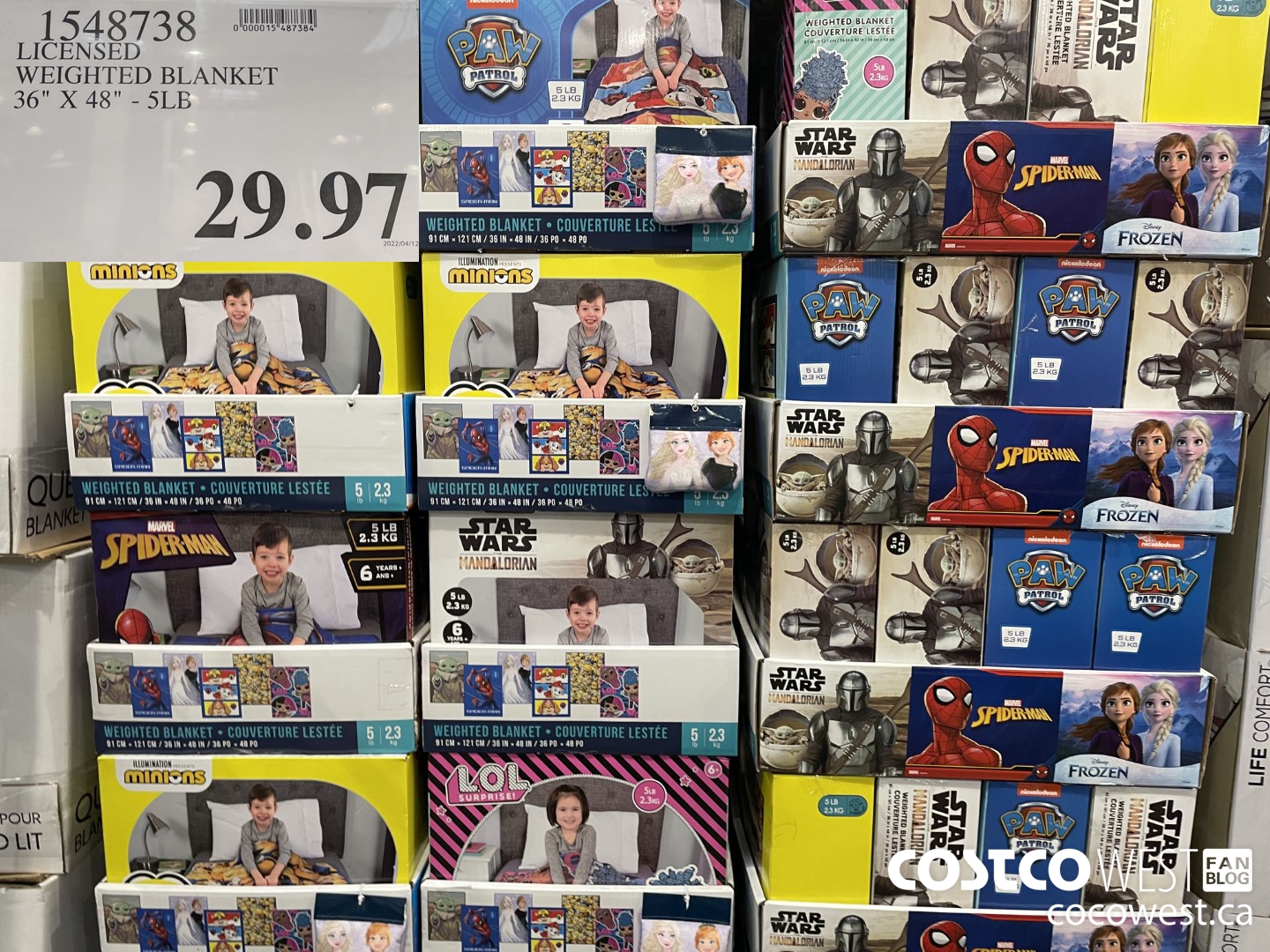 1548738 LICENSED WEIGHTED BLANKET 36