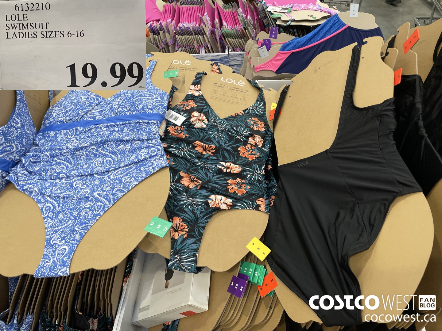 6132210 LOLE SWIMSUIT LADIES SIZES 6-16  $19.99