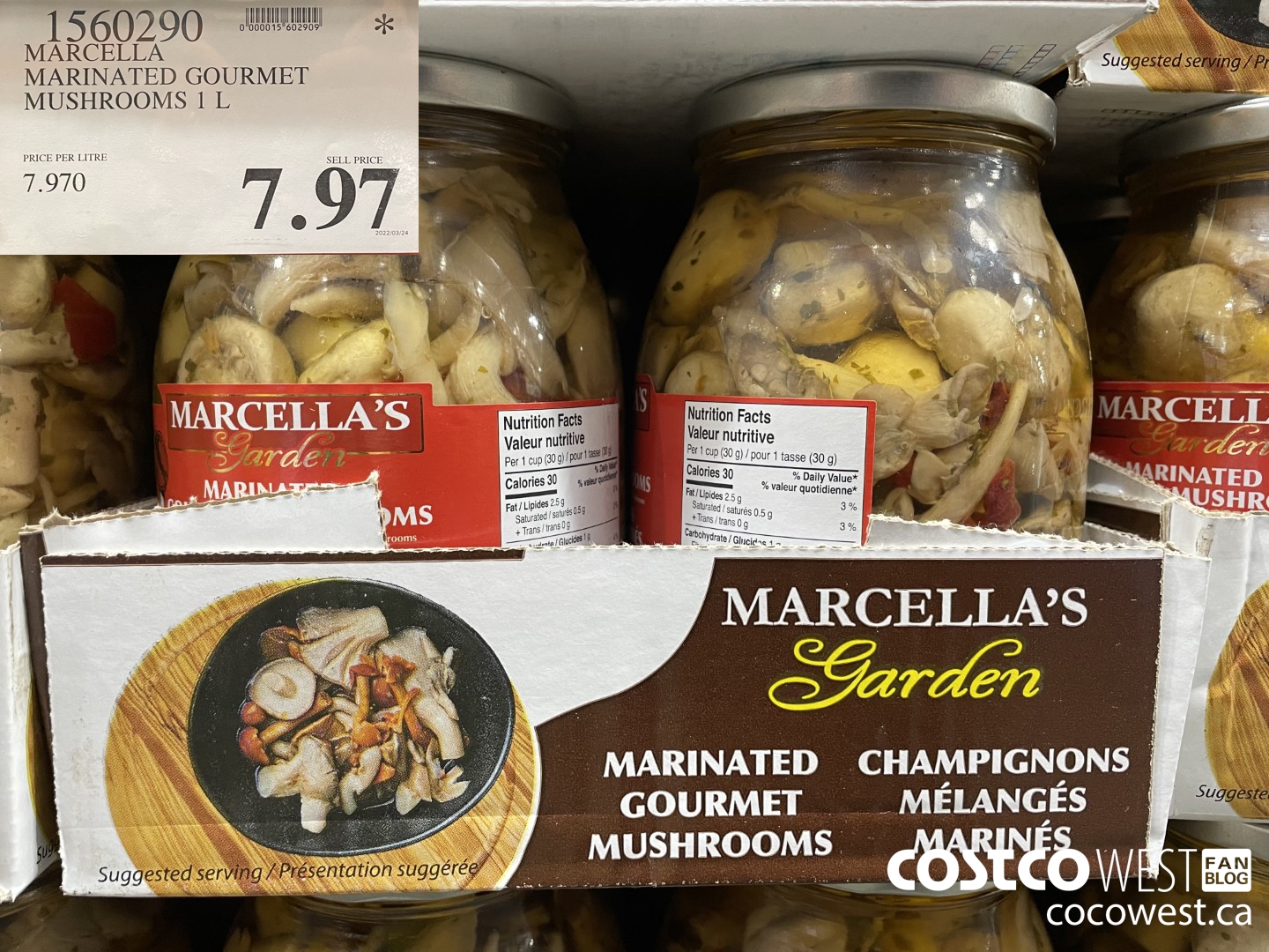 1560290 MARCELLA MARINATED GOURMET MUSHROOMS 1 L $7.97