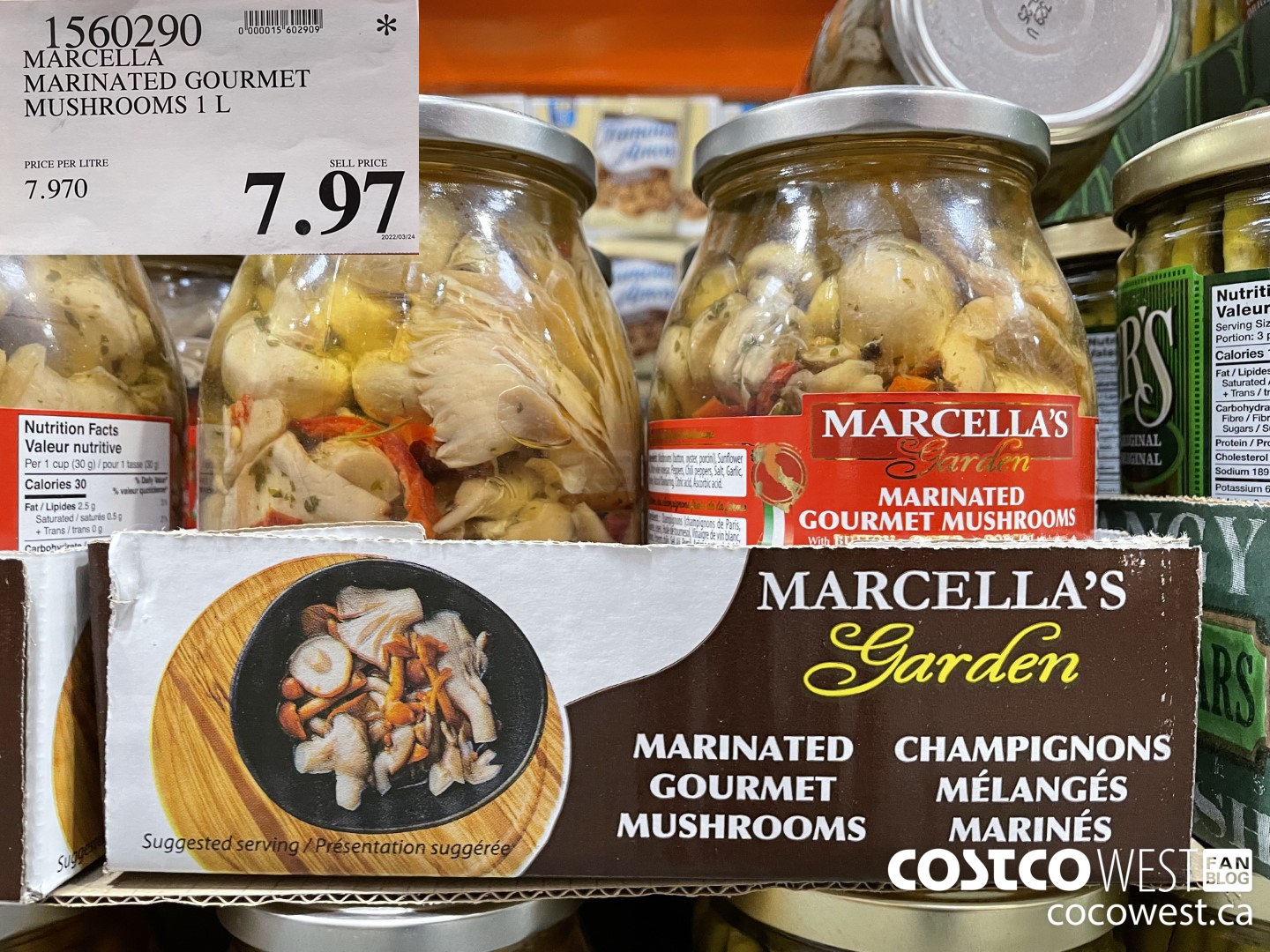 1560290 MARCELLA MARINATED GOURMET MUSHROOMS 1 L $7.97