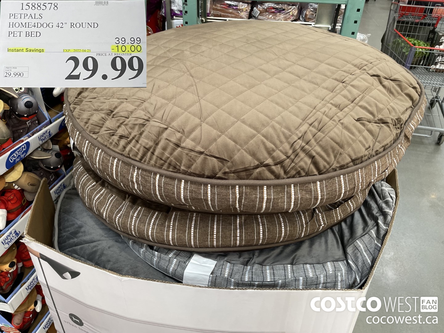 1588578 PETPALS HOME4DOG 42