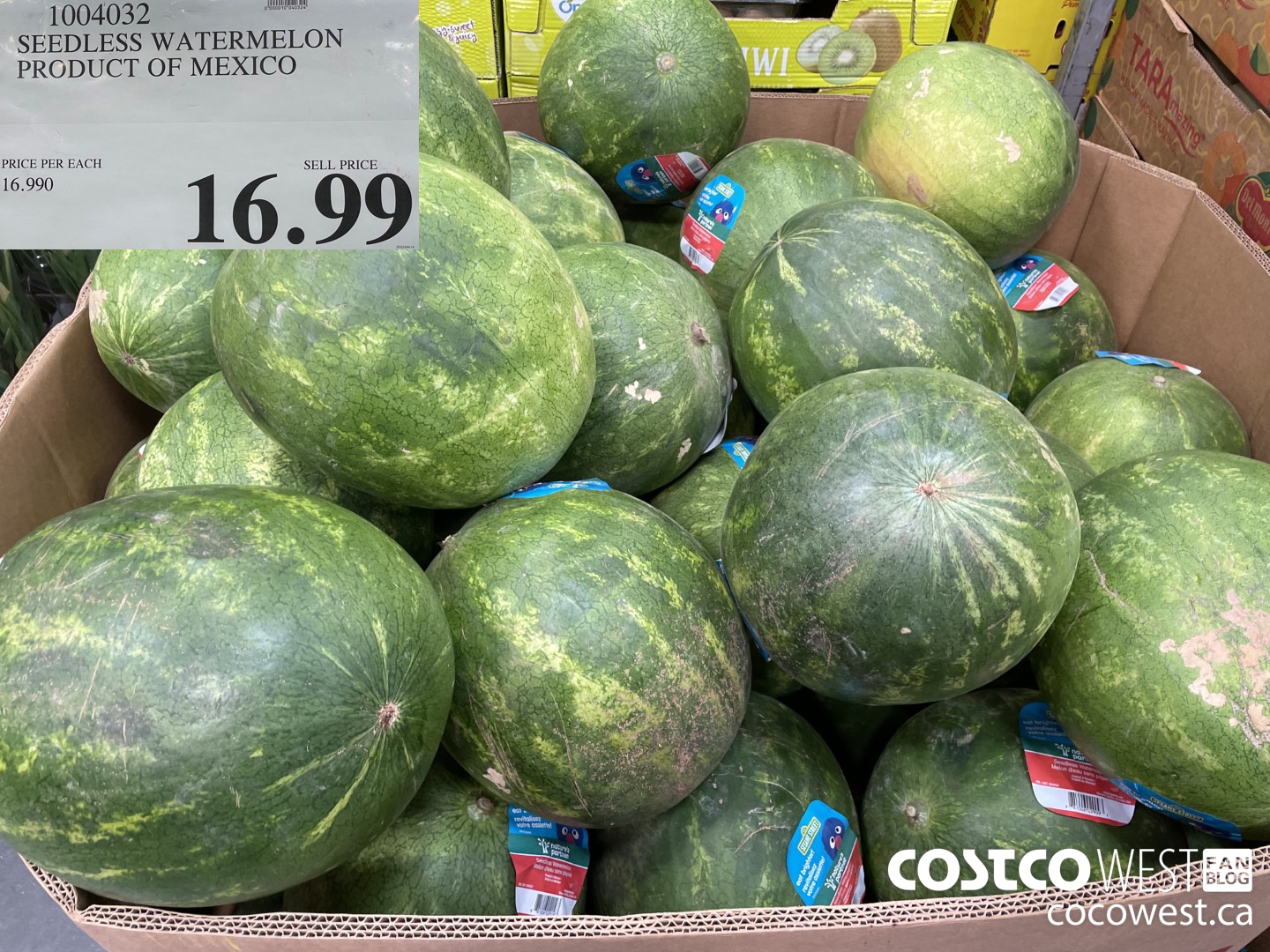 1004032 SEEDLESS WATERMELON PRODUCT OF MEXICO $16.99