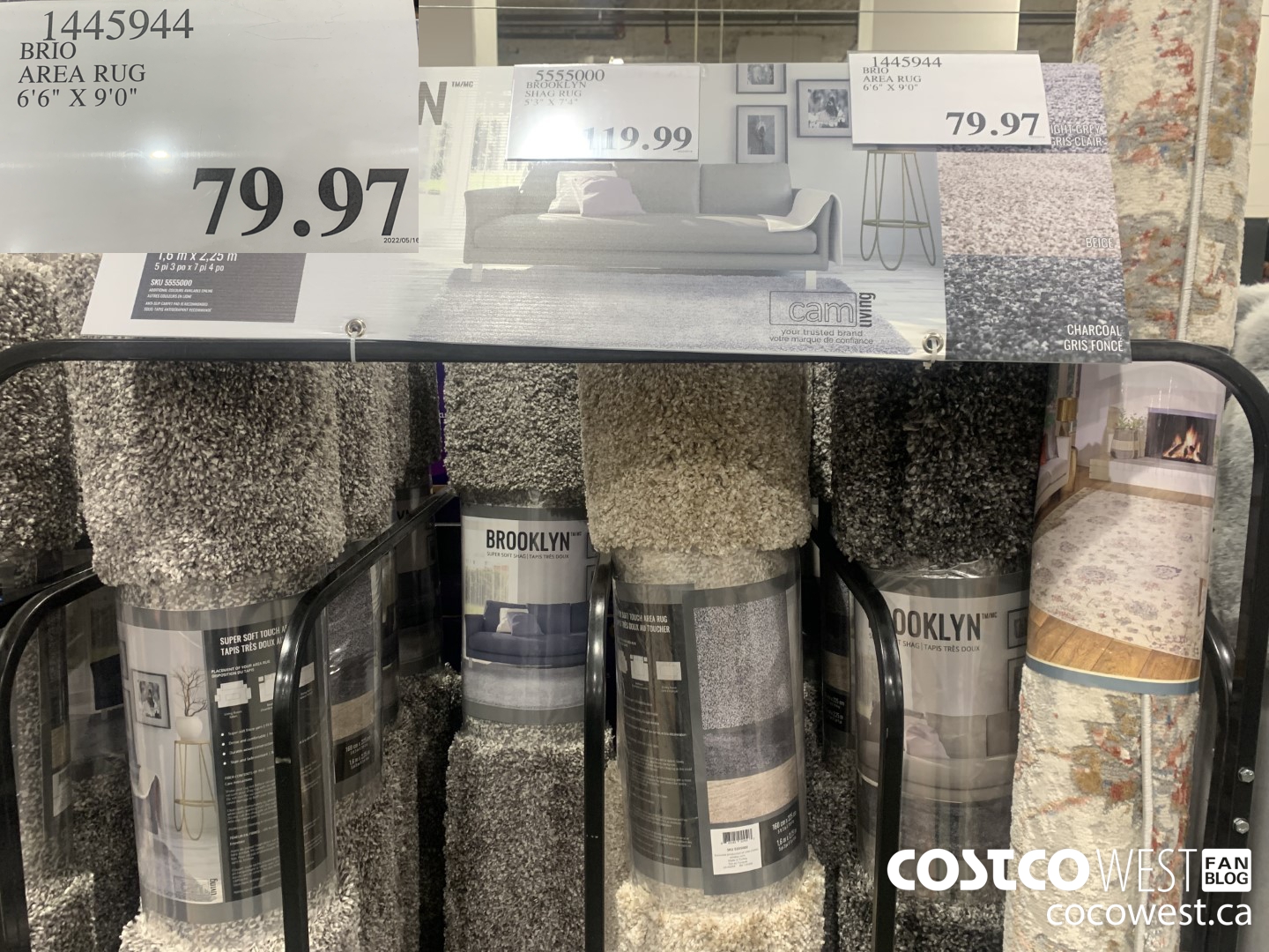 1445944 BRIO AREA RUG 6'6