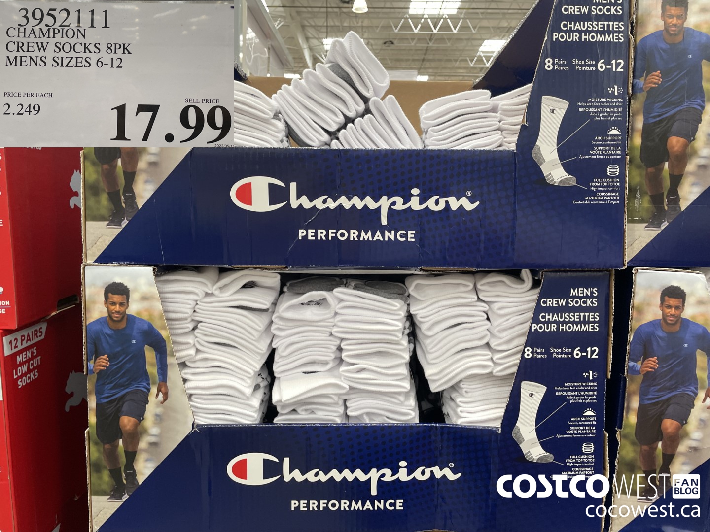 3952111 CHAMPION CREW SOCKS 8PK MENS SIZES 6-12 $17.99