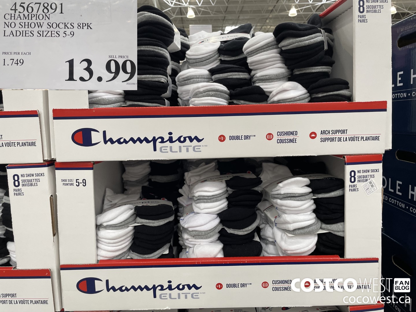 4567891 CHAMPION NO SHOW SOCKS 8PK LADIES SIZES 5-9 $13.99