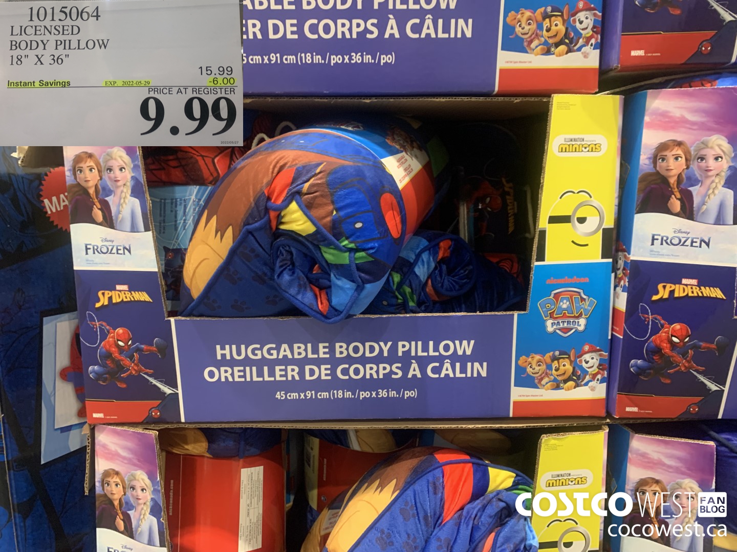 1015064 LICENSED BODY PILLOW 18