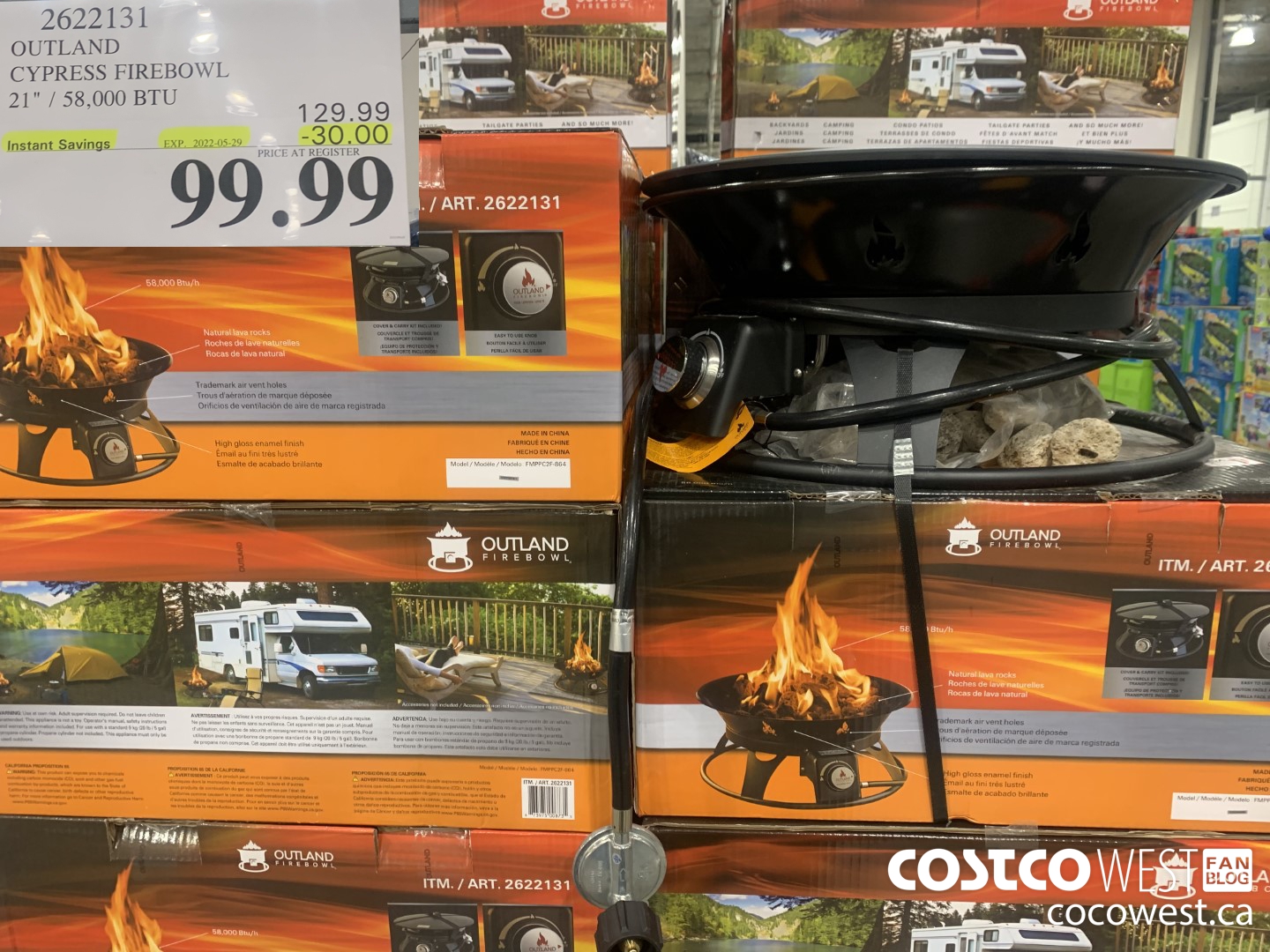 2622131 OUTLAND CYPRESS FIREBOWL 21