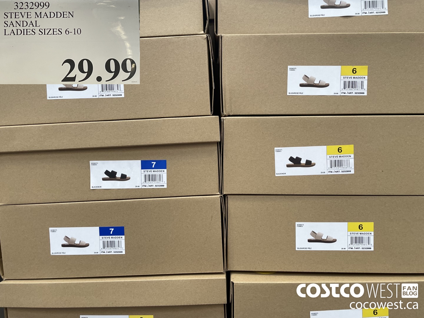 3232999 STEVE MADDEN SANDAL LADIES SIZES 6-10  $29.99